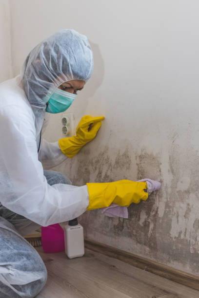 Best Residential Mold Inspection & Testing  in Nichols Hills, OK