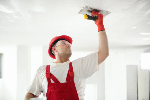 Best Biohazard Mold Removal  in Nichols Hills, OK